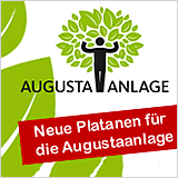 Neue Platanen für die Augustaanlage