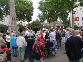 Vergrößerte Ansicht von diesem Bild