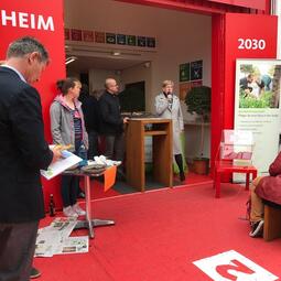 Vergrößerte Ansicht von diesem Bild