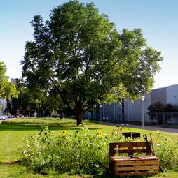 Vergrößerte Ansicht von diesem Bild