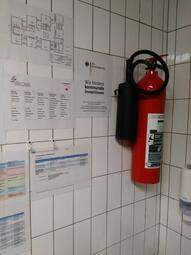 Vergrößerte Ansicht von diesem Bild