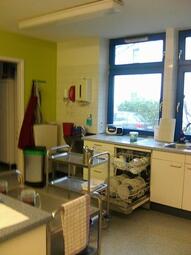 Vergrößerte Ansicht von diesem Bild