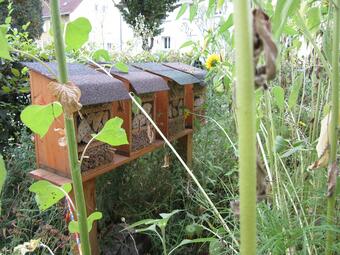 Vergrößerte Ansicht von diesem Bild