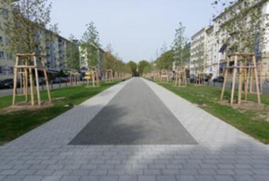 Vergrößerte Ansicht von Blick in die neue Augustaanlage, junge Platanen zu beiden Seiten