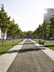 Vergrößerte Ansicht von Blick in die neue Augustaanlage