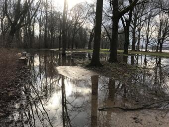 Vergrößerte Ansicht von diesem Bild