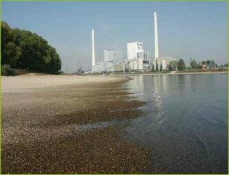 Vergrößerte Ansicht von diesem Bild