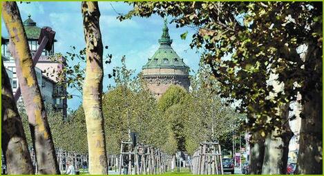 Vergrößerte Ansicht von diesem Bild