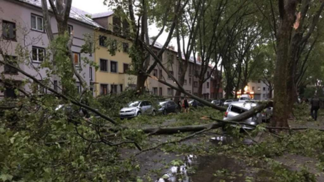 Vergrößerte Ansicht von diesem Bild