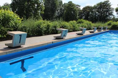 Vergrößerte Ansicht von diesem Bild