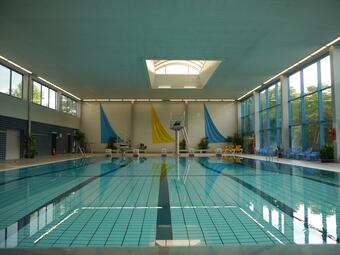 Vergrößerte Ansicht von diesem Bild