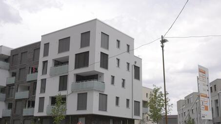 Vergrößerte Ansicht von diesem Bild