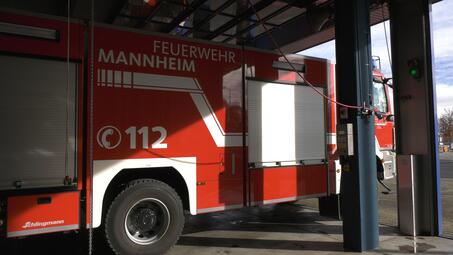 Vergrößerte Ansicht von diesem Bild