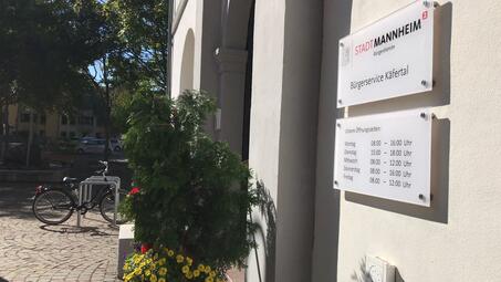 Vergrößerte Ansicht von diesem Bild