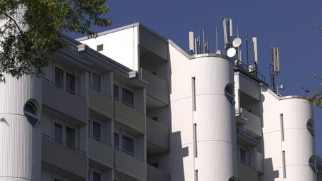 Vergrößerte Ansicht von diesem Bild