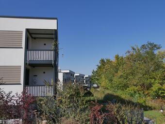 Vergrößerte Ansicht von diesem Bild