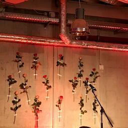 Vergrößerte Ansicht von diesem Bild