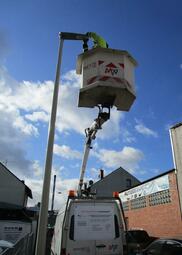 Vergrößerte Ansicht von diesem Bild