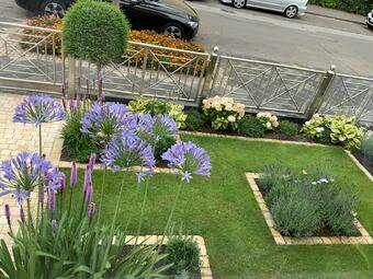 Vergrößerte Ansicht von diesem Bild