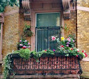 Vergrößerte Ansicht von Balkon mit Blumen