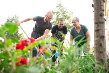 Vergrößerte Ansicht von Drei Menschen pflegen die Bepflanzung einer Baumscheibe