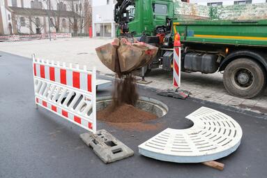 Vergrößerte Ansicht von Pflanzung 15 neuer Bäume