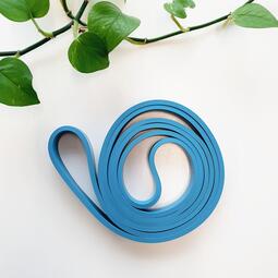 Vergrößerte Ansicht von Fitnessband, blau