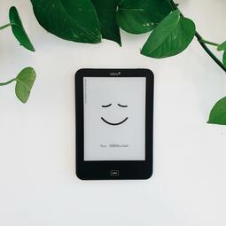 Vergrößerte Ansicht von Foto eines Tolinos zum Ausleihen