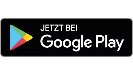 Vergrößerte Ansicht von Logo Google Play-Store