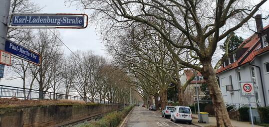 Vergrößerte Ansicht von Die Karl-Ladenburg-Straße in Neuostheim ist bereits eine Fahrradstraße. Aktuell wird auch das Paul-Martin-Ufer zu einer Fahrradstraße umgebaut.