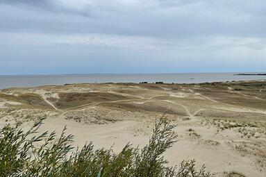 Vergrößerte Ansicht von Klaipeda