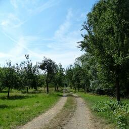 Vergrößerte Ansicht von Reißinsel 
