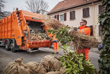 Vergrößerte Ansicht von diesem Bild