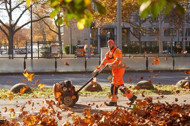 Vergrößerte Ansicht von diesem Bild