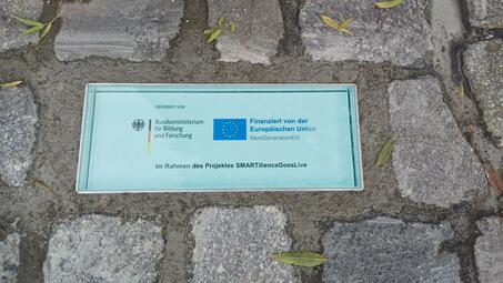 Vergrößerte Ansicht von diesem Bild