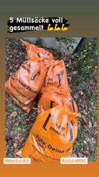 Vergrößerte Ansicht von diesem Bild