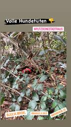 Vergrößerte Ansicht von diesem Bild