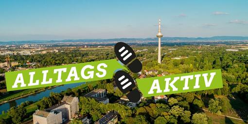 Vergrößerte Ansicht von diesem Bild