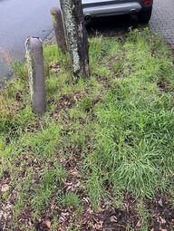 Vergrößerte Ansicht von diesem Bild