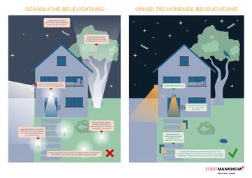 Vergrößerte Ansicht von diesem Bild