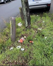 Vergrößerte Ansicht von diesem Bild