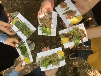 Vergrößerte Ansicht von diesem Bild