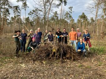 Vergrößerte Ansicht von diesem Bild