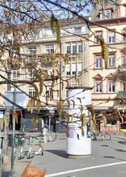 Vergrößerte Ansicht von diesem Bild