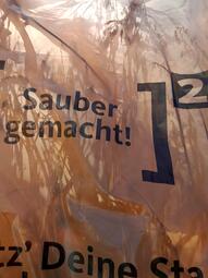 Vergrößerte Ansicht von diesem Bild