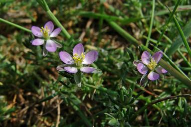 Vergrößerte Ansicht von diesem Bild