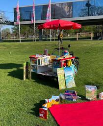 Vergrößerte Ansicht von diesem Bild