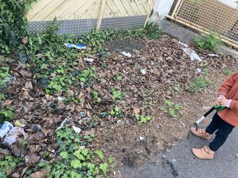 Vergrößerte Ansicht von diesem Bild