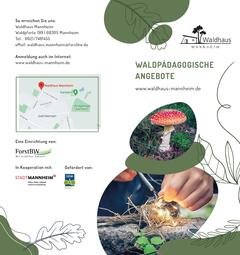 Vergrößerte Ansicht von diesem Bild