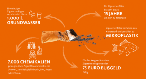 Vergrößerte Ansicht von diesem Bild